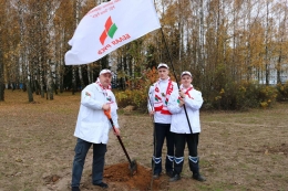 Экологическая акция &laquo;Дерево героя&raquo;