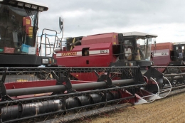 &laquo;Выборы &mdash; выборами, а кушать все хотят&raquo;