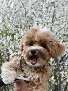 Весна в объективе