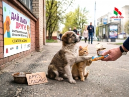 Дай лапу другу &ndash; и он никогда тебя не предаст